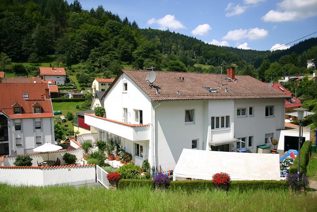 Apartmenthaus "Zum Lowen" Heidelberg - Ziegelhausen Luaran gambar