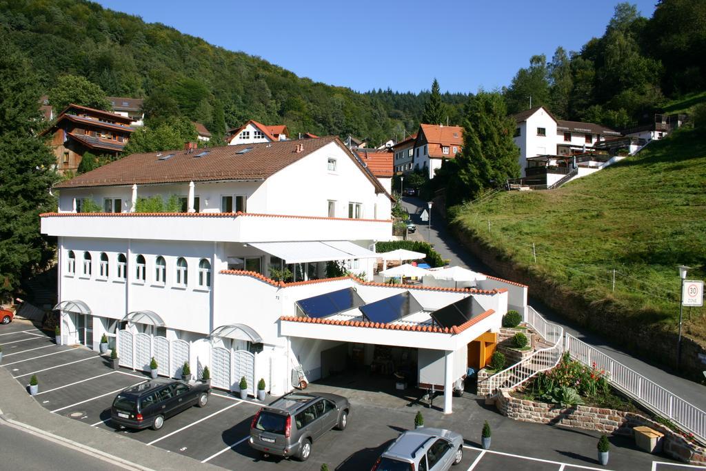 Apartmenthaus "Zum Lowen" Heidelberg - Ziegelhausen Luaran gambar