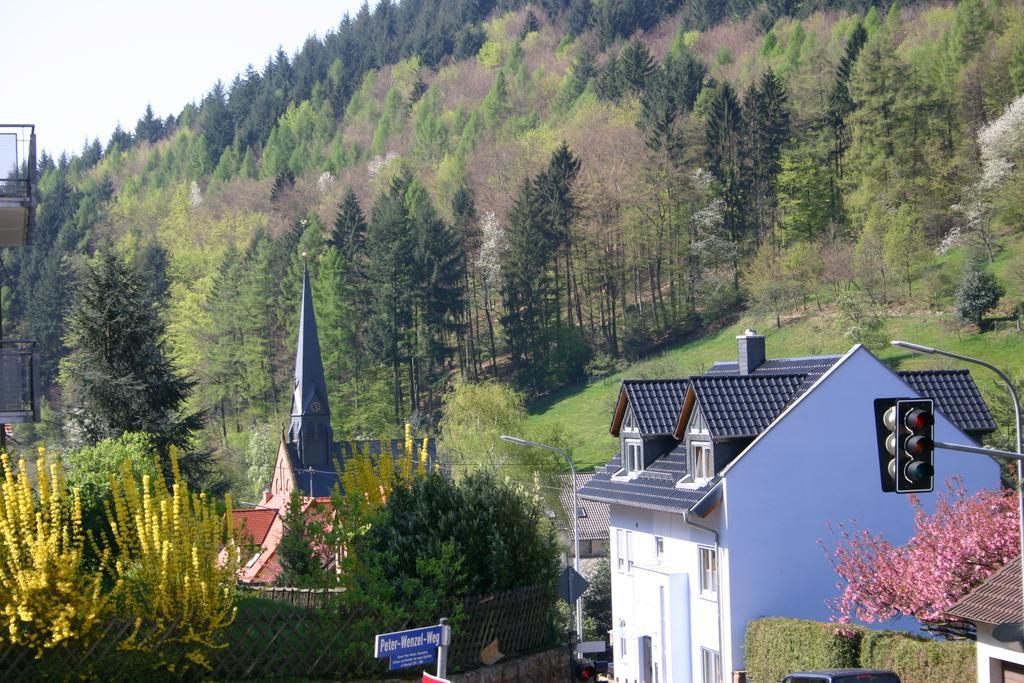 Apartmenthaus "Zum Lowen" Heidelberg - Ziegelhausen Luaran gambar